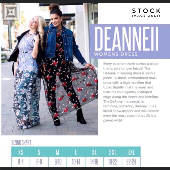 Size XS Deanne II sheer embroidered overlay dress - Picture 3 of 6